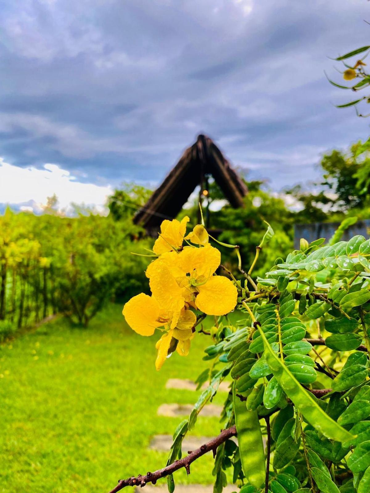 Kalametiya Bird Villa Tangalle Exterior photo